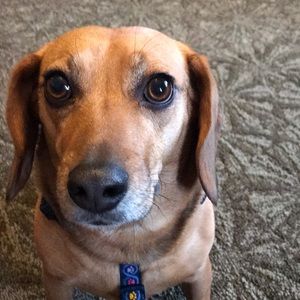 Meet your Posher, Jaime